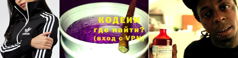 цена   Данилов  Кодеиновый сироп Lean Purple Drank 