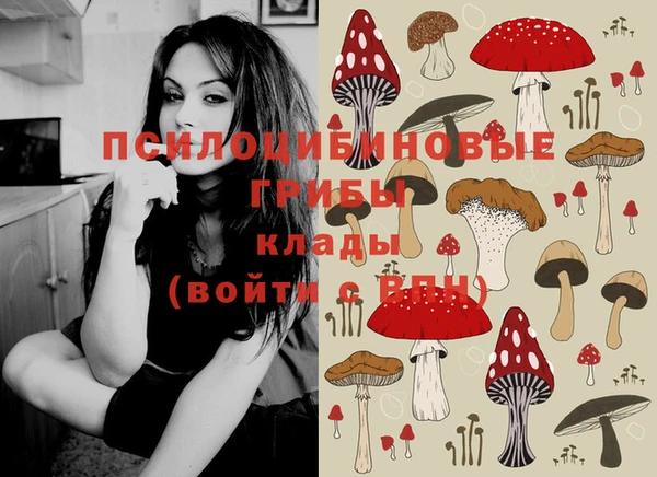меф Михайловск