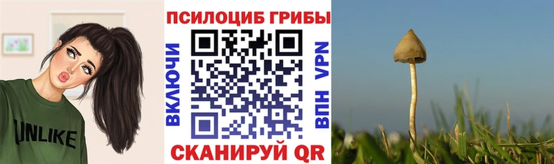 Галлюциногенные грибы MAGIC MUSHROOMS  Данилов 