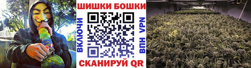 Шишки марихуана план  магазин    Данилов 